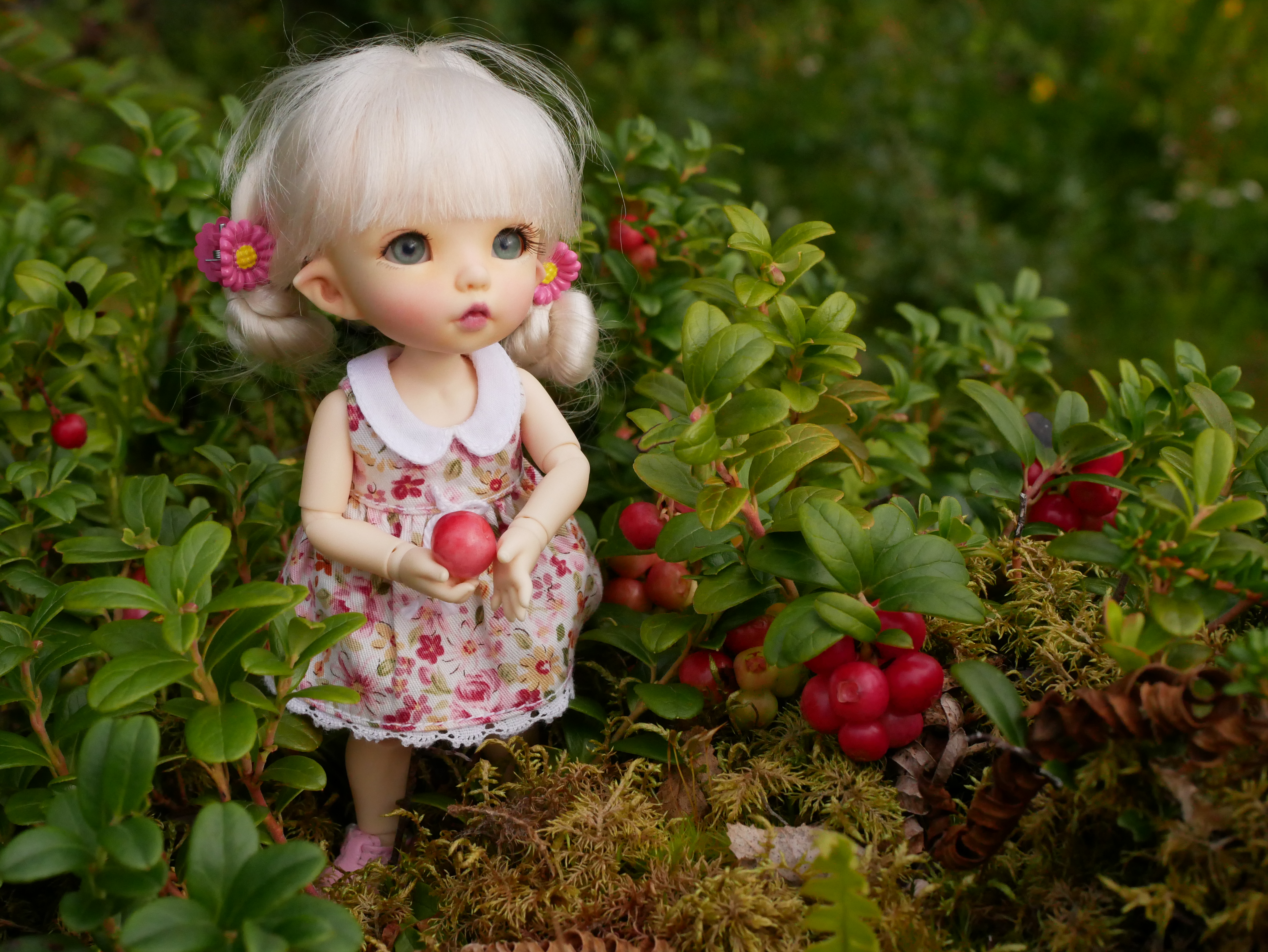 Signe with berries