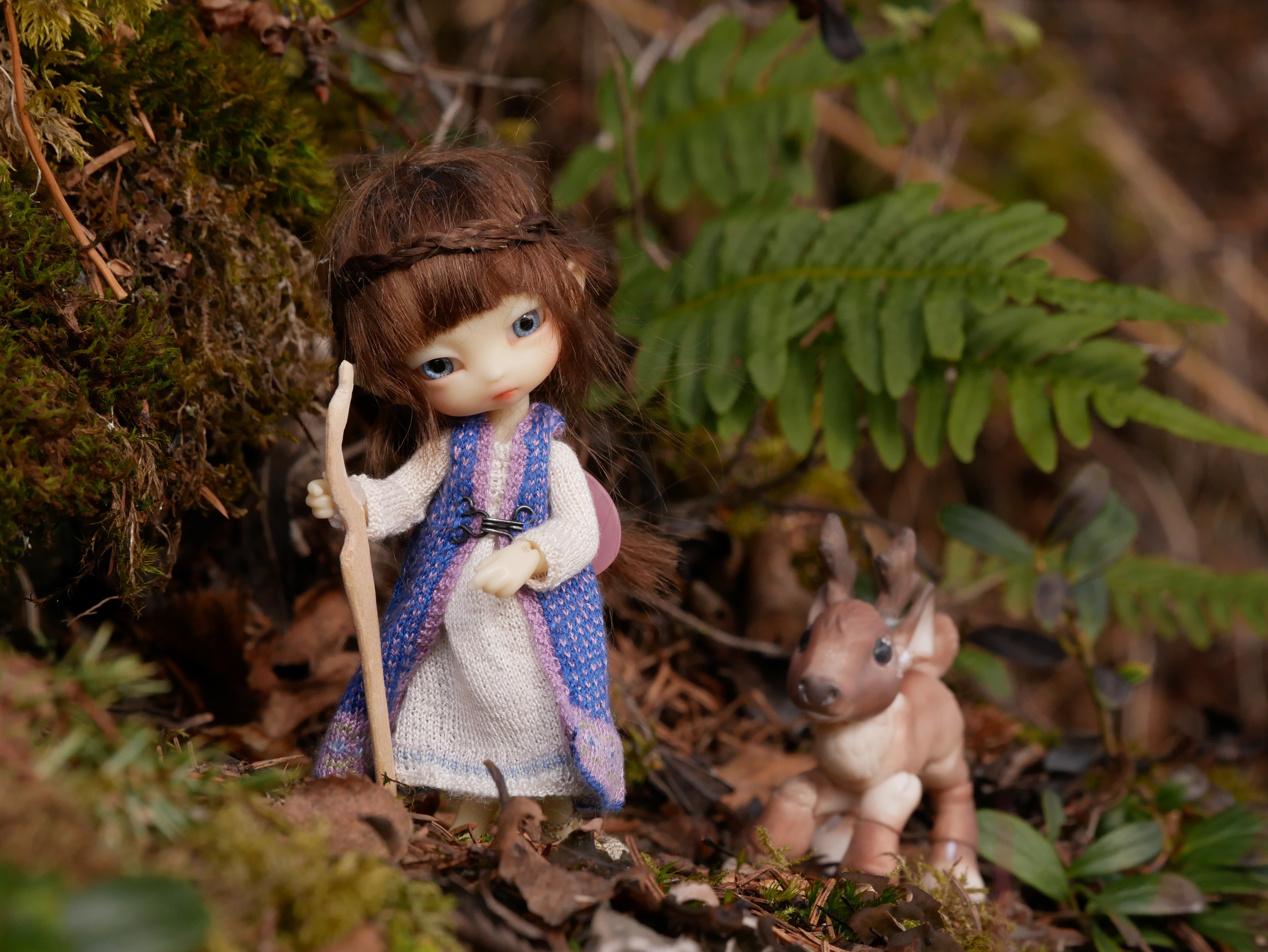 Fairy Forest Mysteries