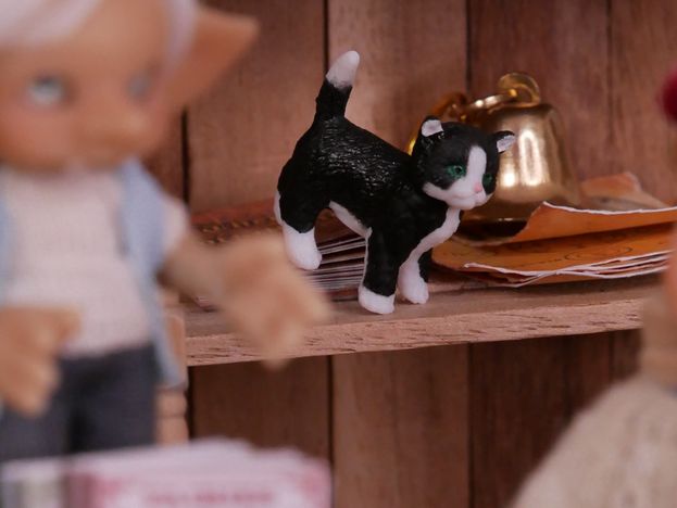 Why is there a kitten on the shelf?