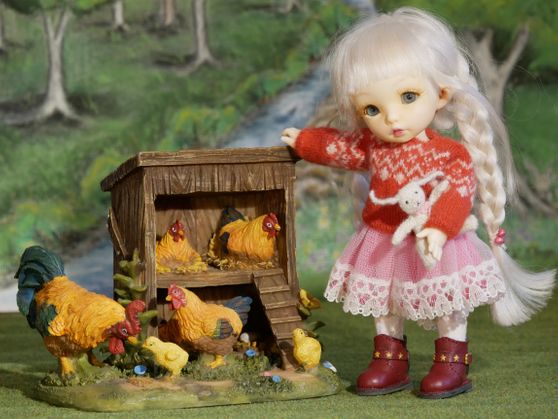 "Lookie chickens!"