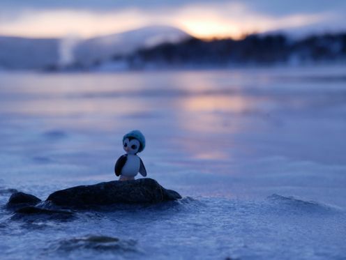 Ponk the lone penguin